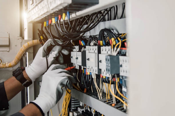 Best Electric Panel Repair  in Fort Thompson, SD